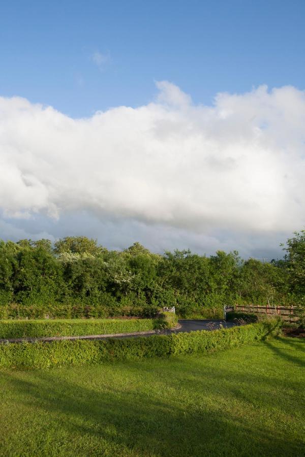 Inviting 4-Bed House In Strokestown Villa Exterior photo